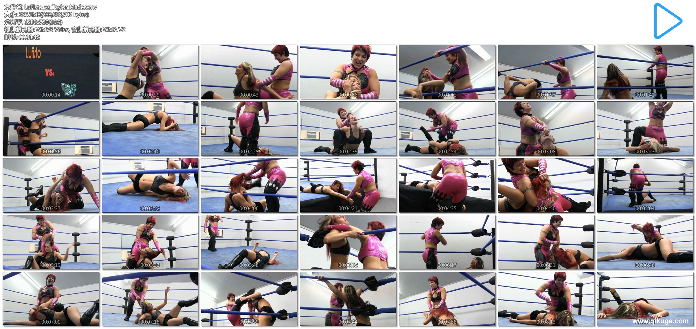 LuFisto_vs_Taylor_Made.wmv.jpg